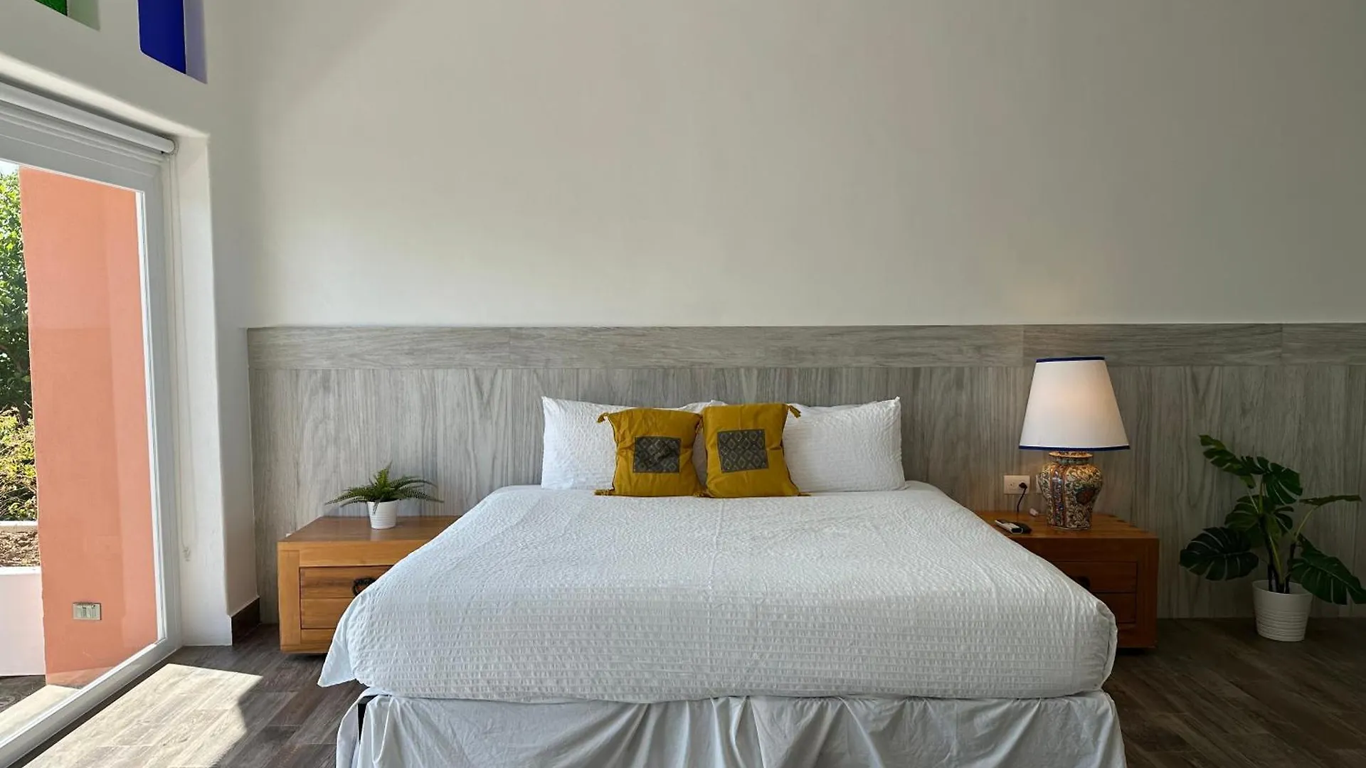 Casa Tortugas Boutique Hotel, An Authentic Hidden Gem In Cancun Hotel