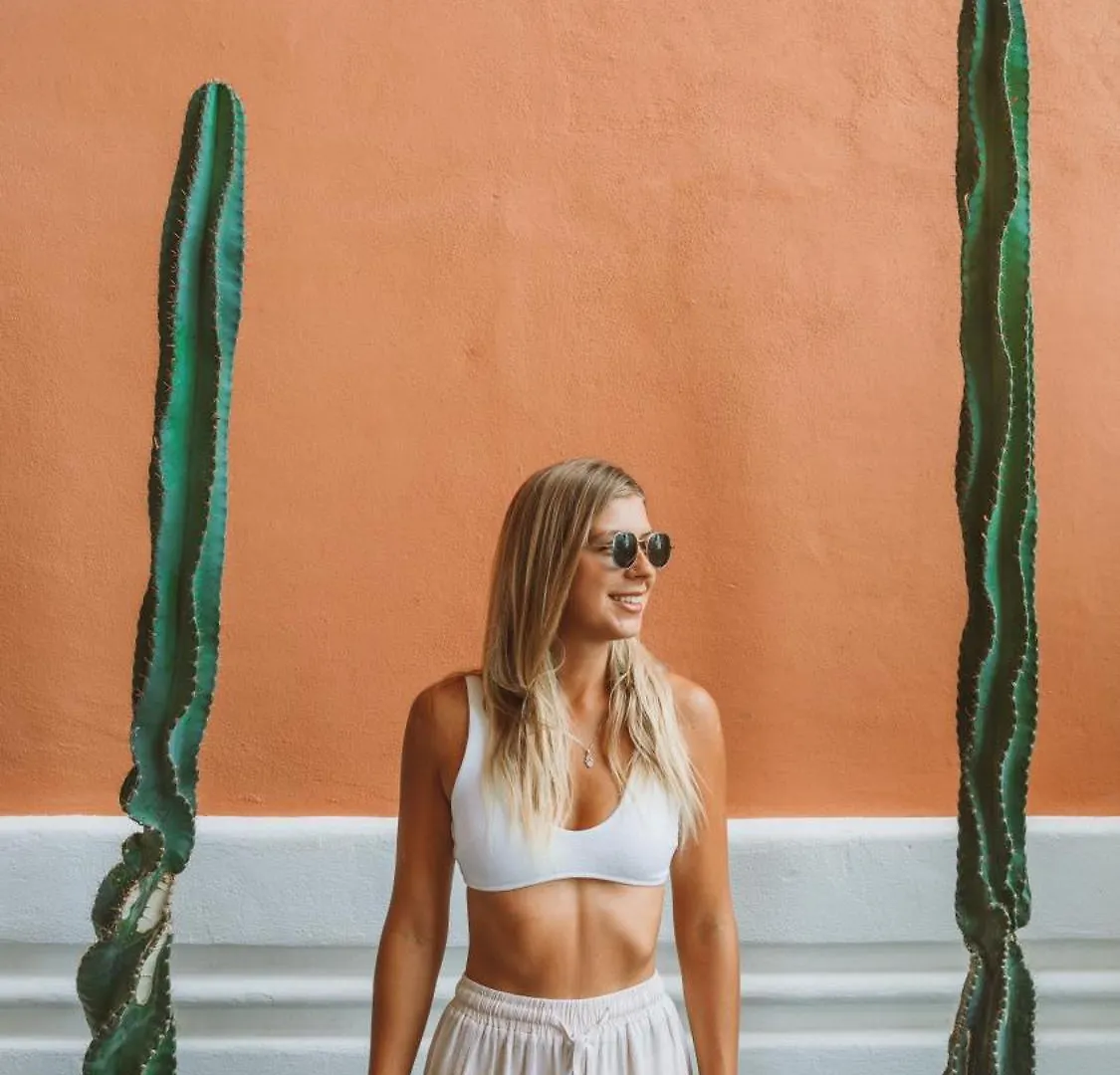 Hotel Casa Tortugas Boutique Hotel, An Authentic Hidden Gem In Cancun