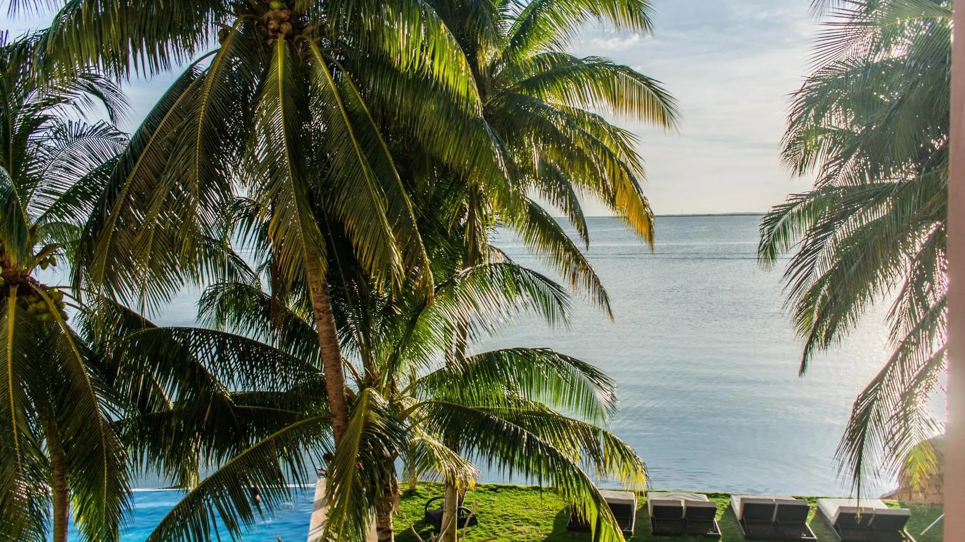 Casa Tortugas Boutique Hotel, An Authentic Hidden Gem In Cancun Hotel