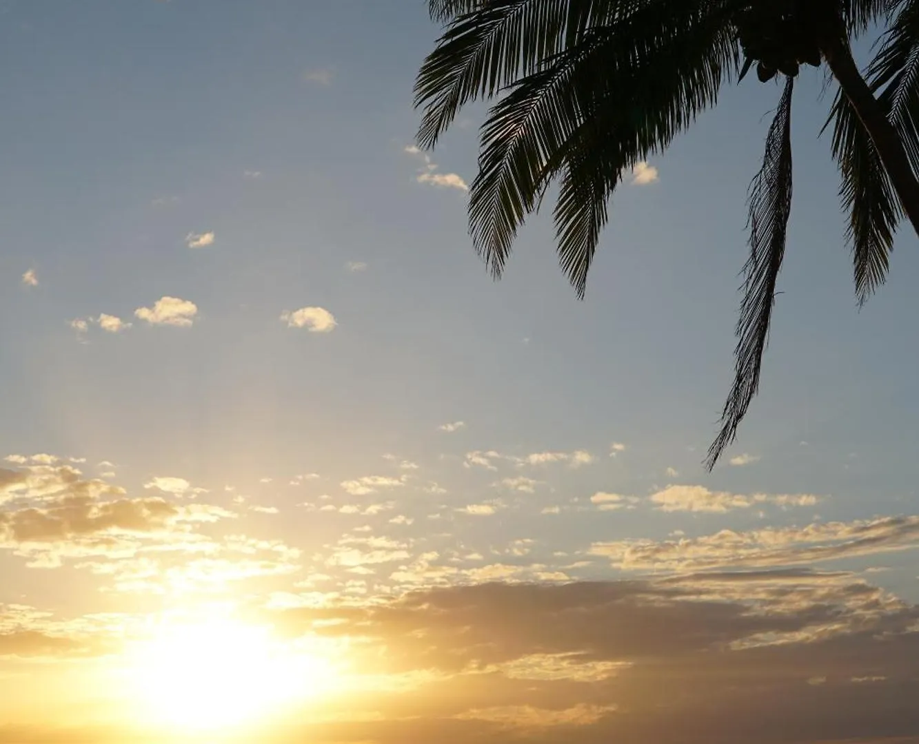 Casa Tortugas Boutique Hotel, An Authentic Hidden Gem In Cancun