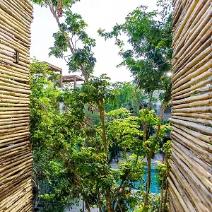  Apartment Eco-sustainable Luxury Between Hotspots & Town By Stella Mexico